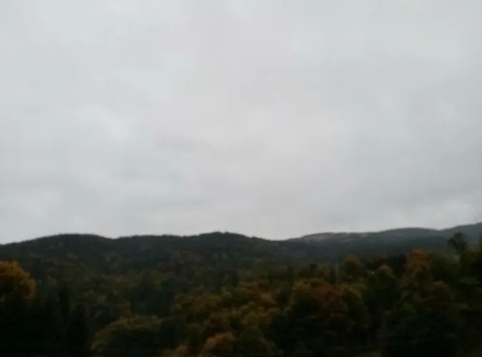 Kallas Lux Daire Kopaonik